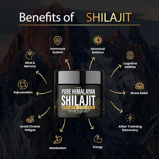 Pure Himalayan Shilajit 30g